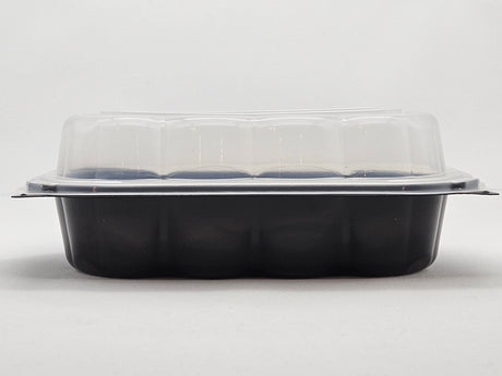 Take Out Plastic Hinged Containers/Clear/Black Base 9*6*2.95