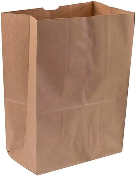 Sacola de Papel Kraft 1/6