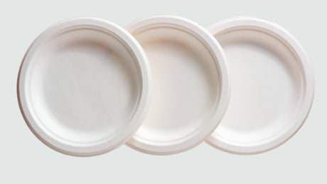 Paper Plates - Albert's Distribution